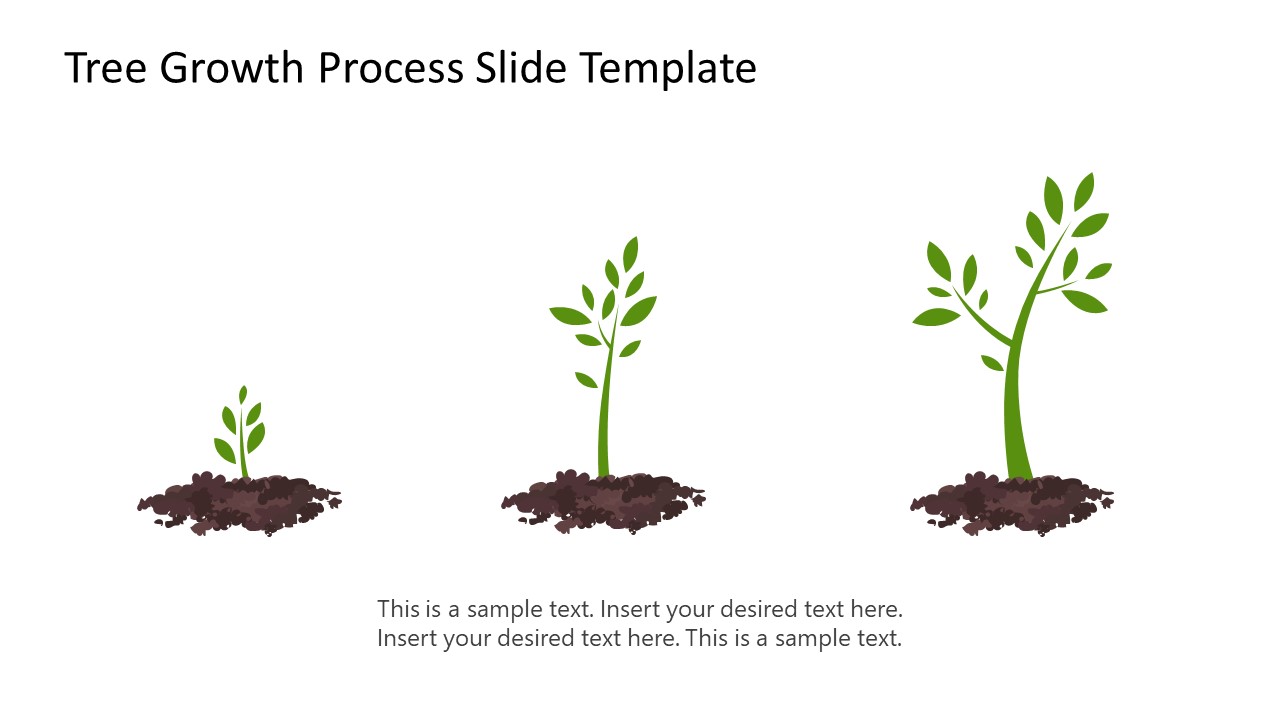 Tree Growth Process PowerPoint Template