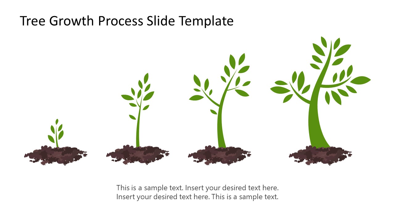 Tree Growth Process PowerPoint Template