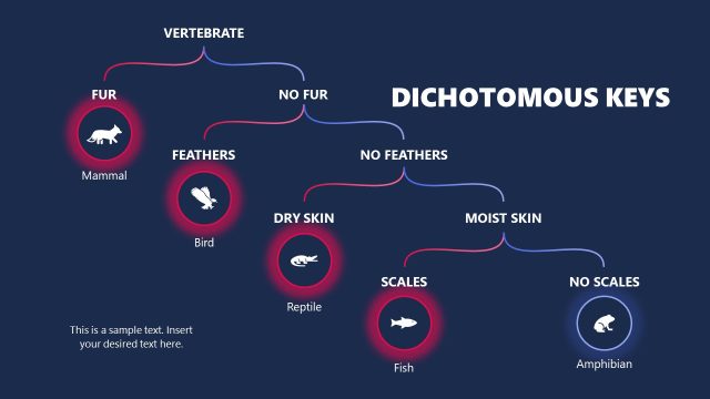 Dichotomous Keys PowerPoint Diagram Template