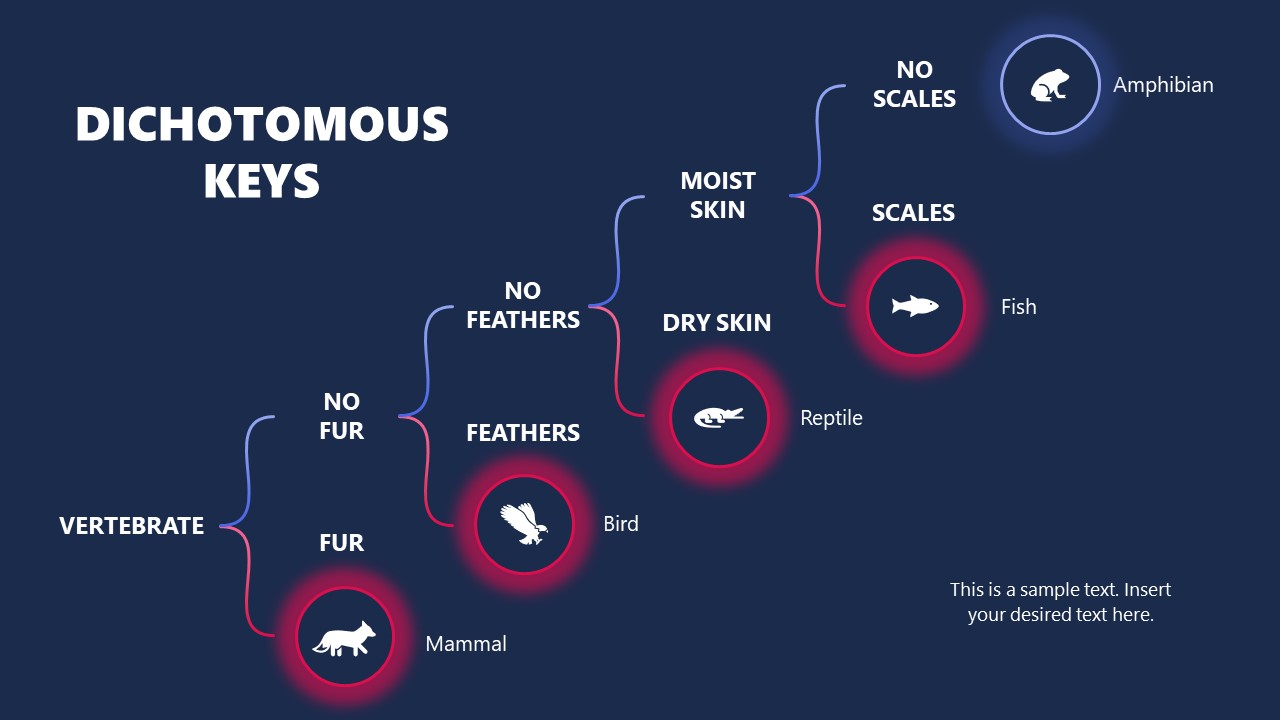 Dichotomous Keys PowerPoint Diagram Template