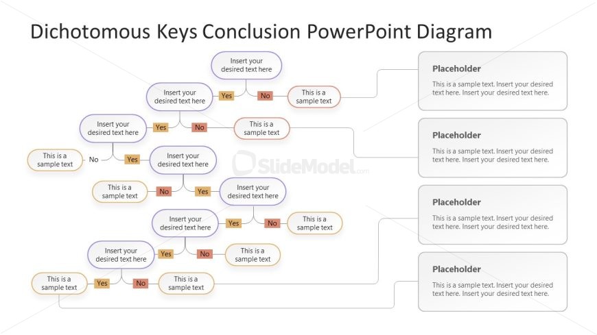 PPT Dichotomous Key Slide Template with Yes & No Labels