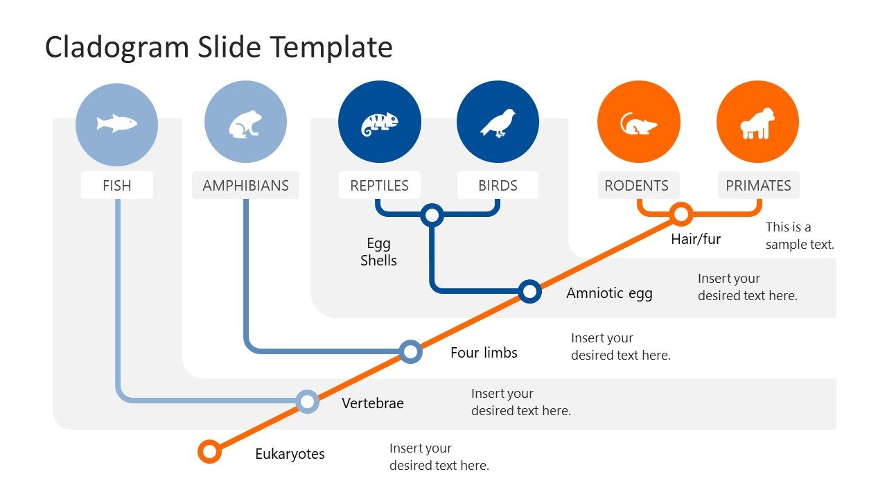 Cladogram Creative Editable Cladogram PPT Template - SlideModel