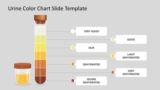 Urine Color Chart Slide Template for PowerPoint