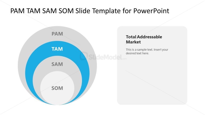 PAM TAM SAM SOM Template for Presentation