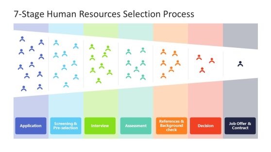 7-Stage Human Resources Selection Process PowerPoint Template