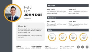 Editable One Slide Resume PPT Template 