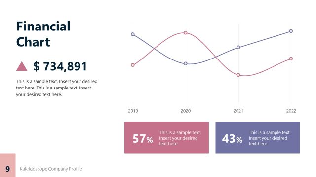 Financial Chart Slide – Company Profile Presentation