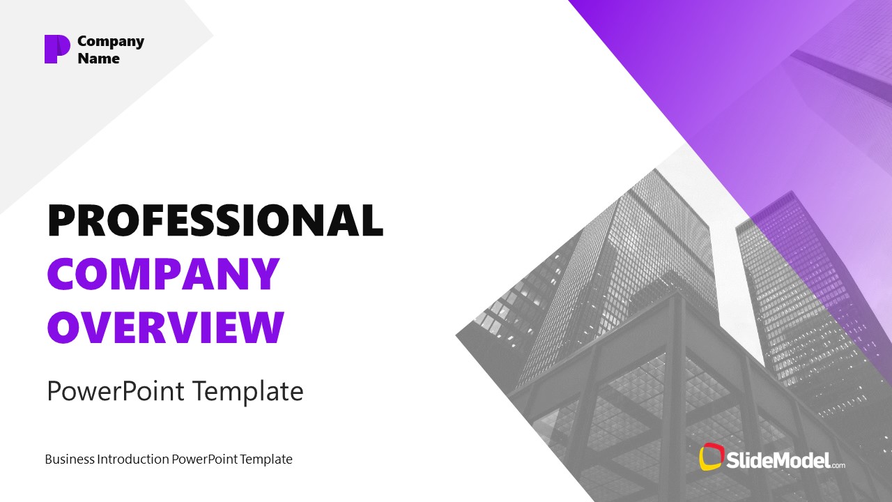 PPT Professional Company Overview Slide Layout 