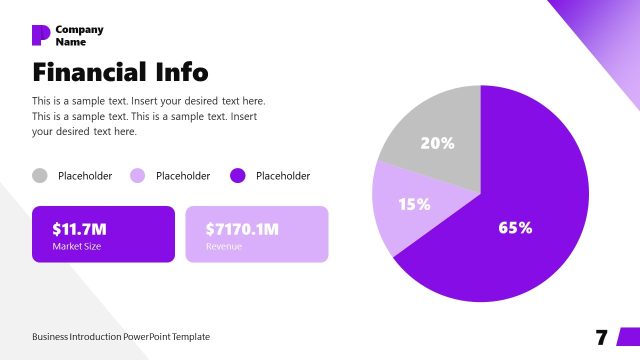 Financial Info Slide for Company Presentation