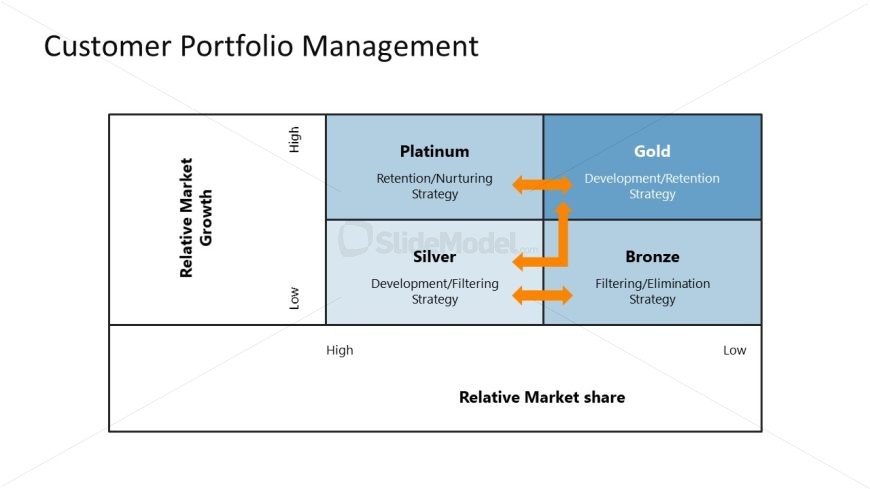 Customer Portfolio Management PPT Slide for Presentation 