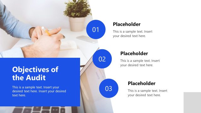 Objectives of the Audit Slide – Digital Marketing Audit Template