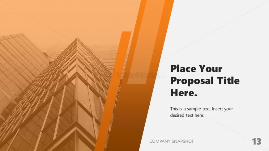 PPT Template for Company Snapshot Presentation 