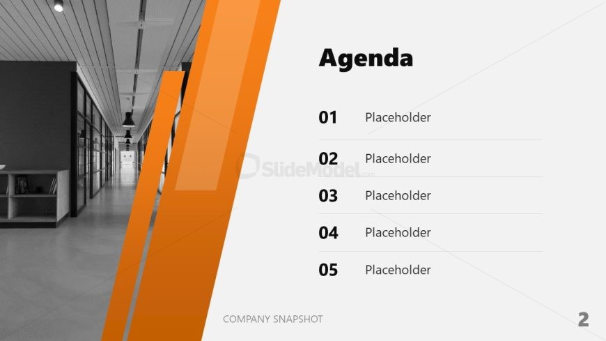 Company Snapshot Template for Presentation 