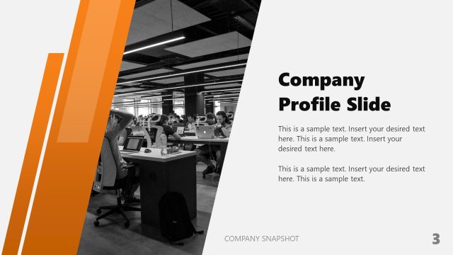 Customizable Company Snapshot PPT Template