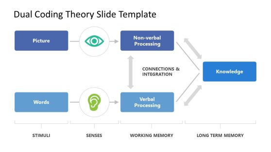 Dual Coding Theory PowerPoint Template