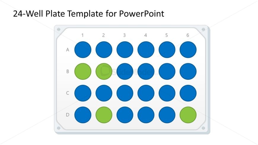 24-Well Plate Template for Presentation 