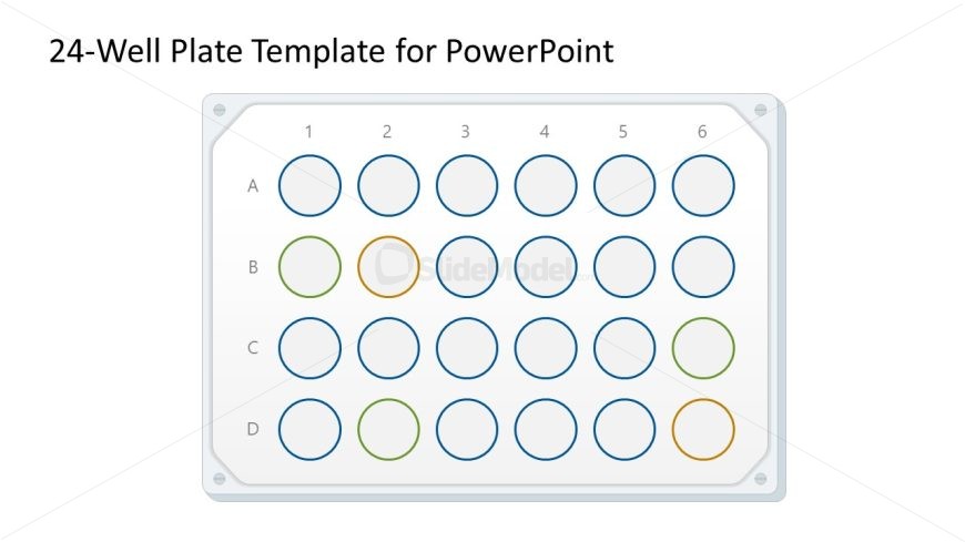 24-Well Plate Template PPT Slide