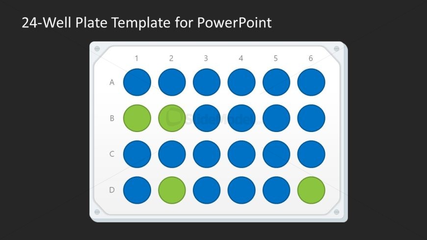 Editable 24-Well Plate Template PPT Slide