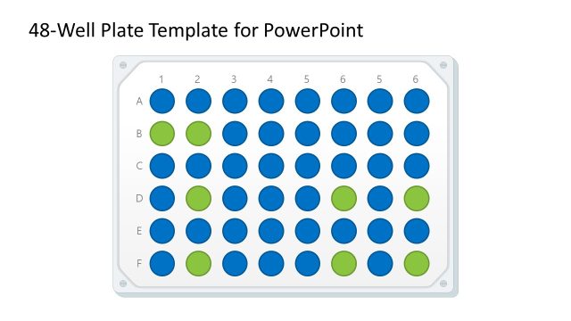48-Well Plate Template for PowerPoint