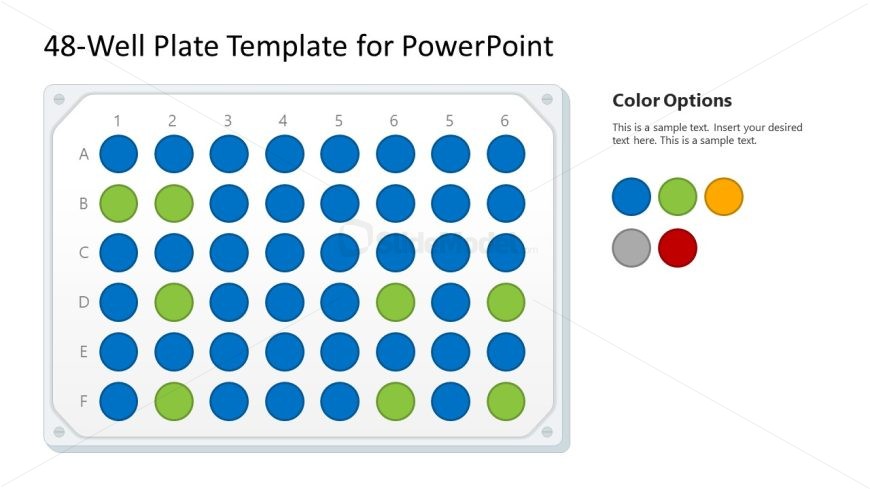 48-Well Plate Slide for PowerPoint