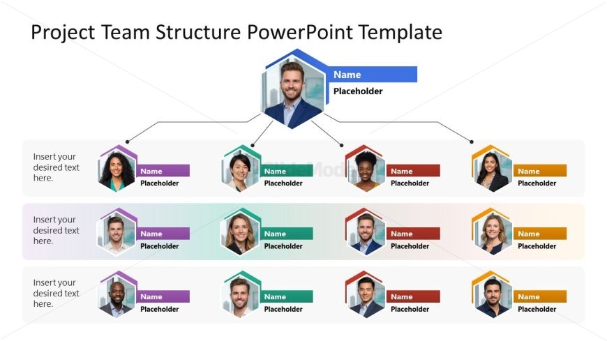 Creative Project Team Structure Template