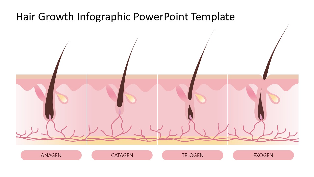 Editable Hair Growth Infographic PPT Template