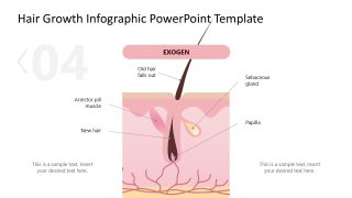 Hair Growth Infographic Slide PPT Template