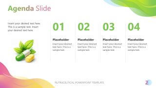 Four Points of Agenda Presentation - Nutraceutical PowerPoint Template 