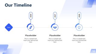 Professional Business Profile Timeline Presentation Slide 
