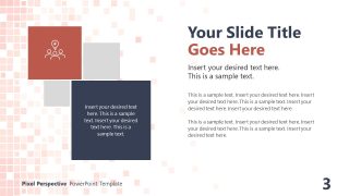 Section Overview - Pixel Perspective PPT Template