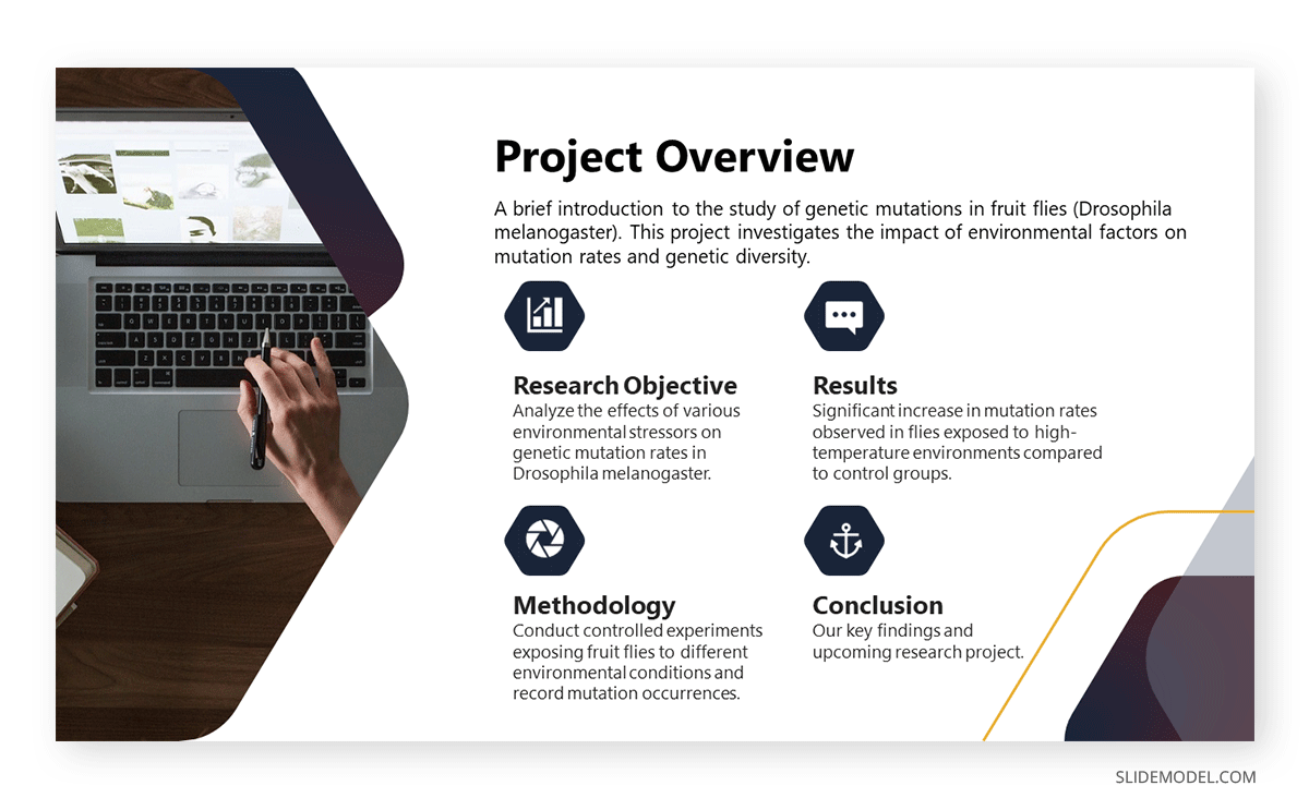 Academic presentation example for project overview