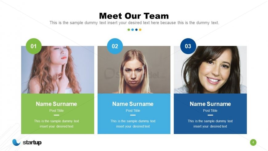 Team Profile in Startup Presentation 