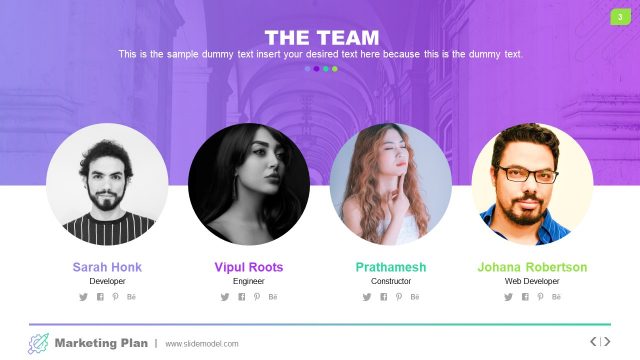 Team of Professionals in Marketing Plan PPT
