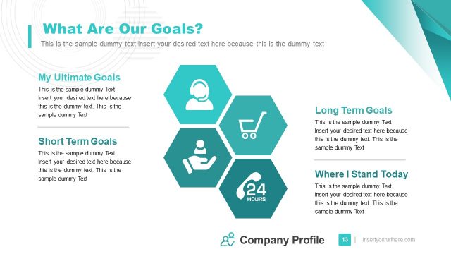 Presentation of Company Profile Goals