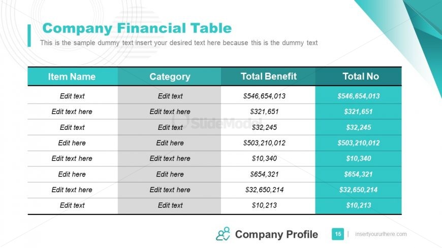 Table of Financial Company Information
