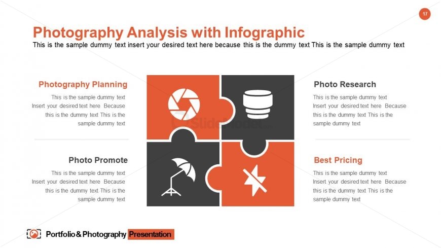 Portfolio & Photography Analysis Template