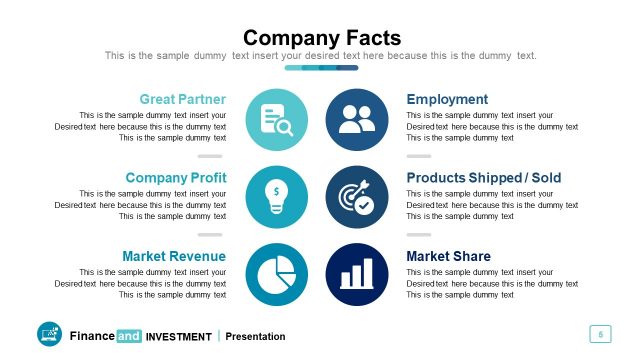 Company Facts Sheet Presentation