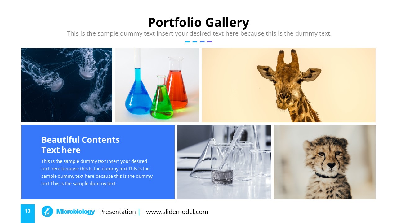 microbiology-powerpoint-template-slidemodel