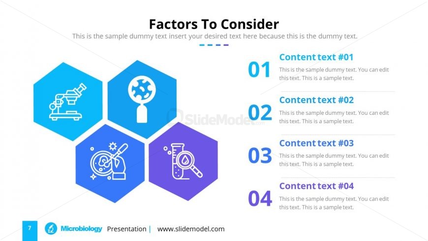 Infographic Hexagon Shapes Template