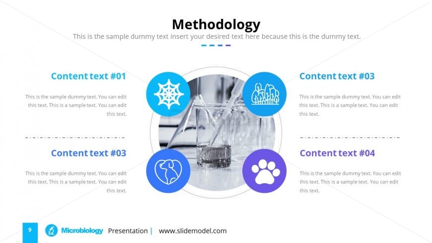 Template of Microbiology Methodology Diagram