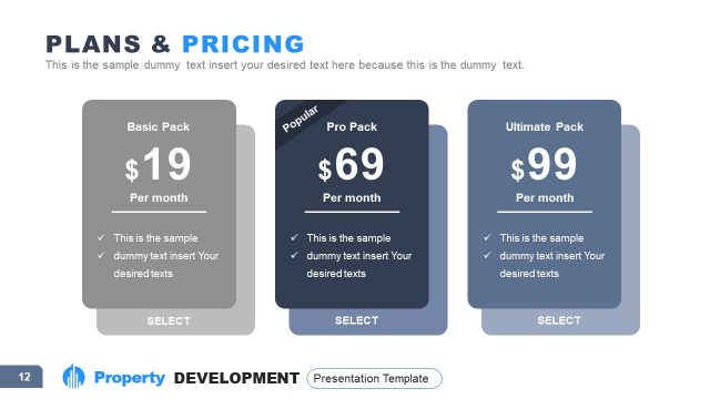 Property Development Business Pricing Slide