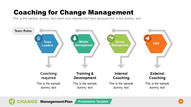 Change Management Coaching Diagram Template