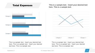 Corporate Annual Report Template of Total Expenses 
