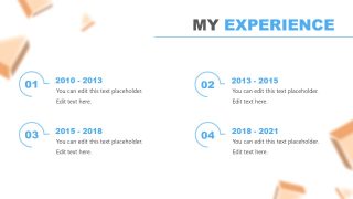 Slide of Experience in Resume PowerPoint Template 