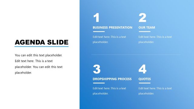 Agenda Slide for Dropshipping Business Presentation