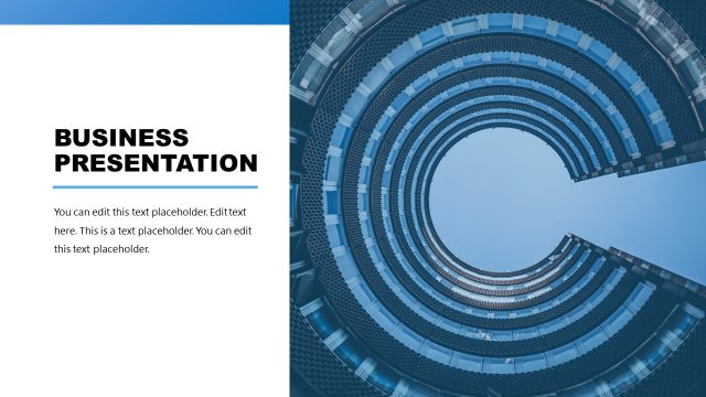 Business Summary Slide with Image Placeholder