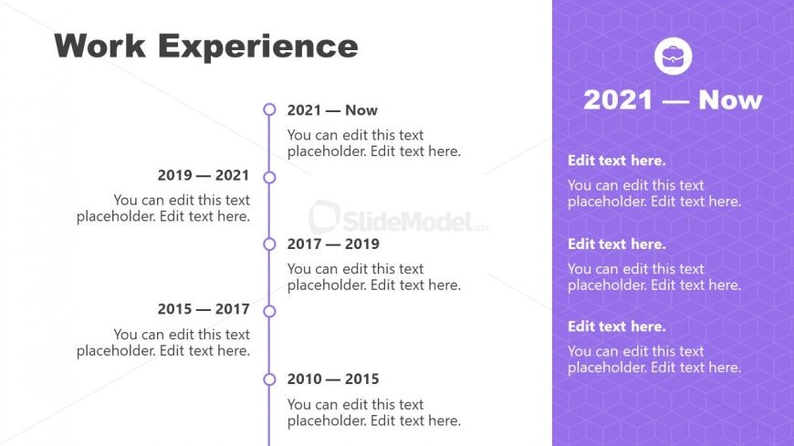Job Experience Timeline Layout 
