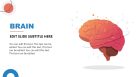 Neuroscience Powerpoint Slide With Brain Diagram Slidemodel Neuroscience Powerpoint Slide With Brain Diagram Slidemodel