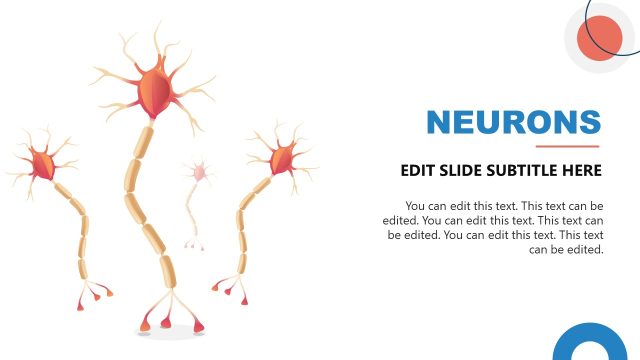 Neuroscience Presentation Template with Neurons Diagram