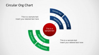 Circular Organizational Chart PowerPoint Shape
